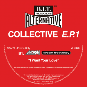 1 BITALT2 - Andy M Dream Frequency "I Want Your Love" Digital