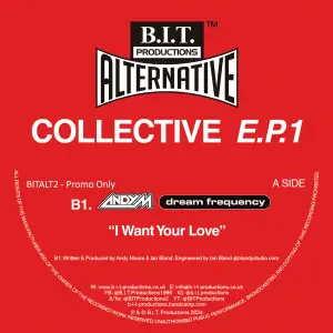 1 BITALT2 - Andy M Dream Frequency "I Want Your Love" Digital